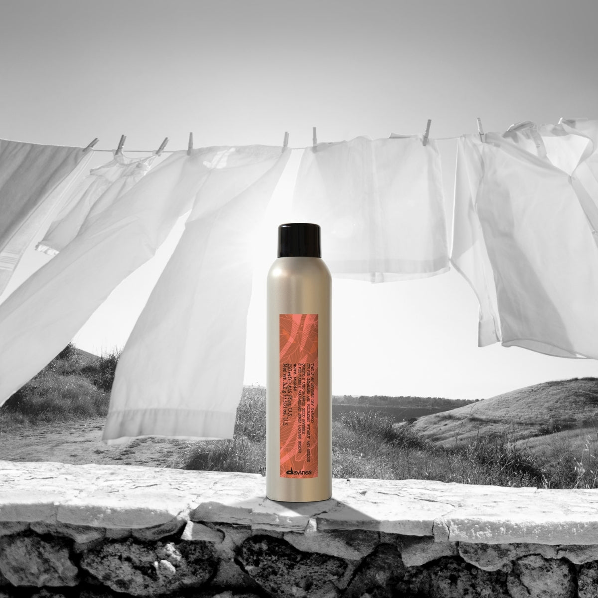 Shampoo Seco Dry More Inside Davines