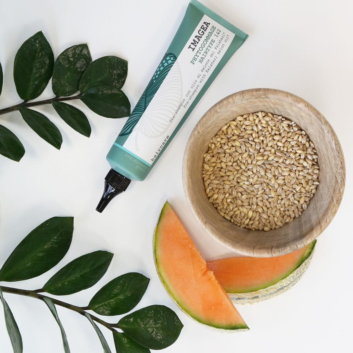 Pre Shampoo Detox Phytogommage 150ml Imagea