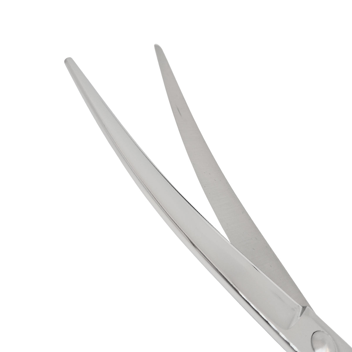 Tijera Corte 7.5 Mascota Ricco