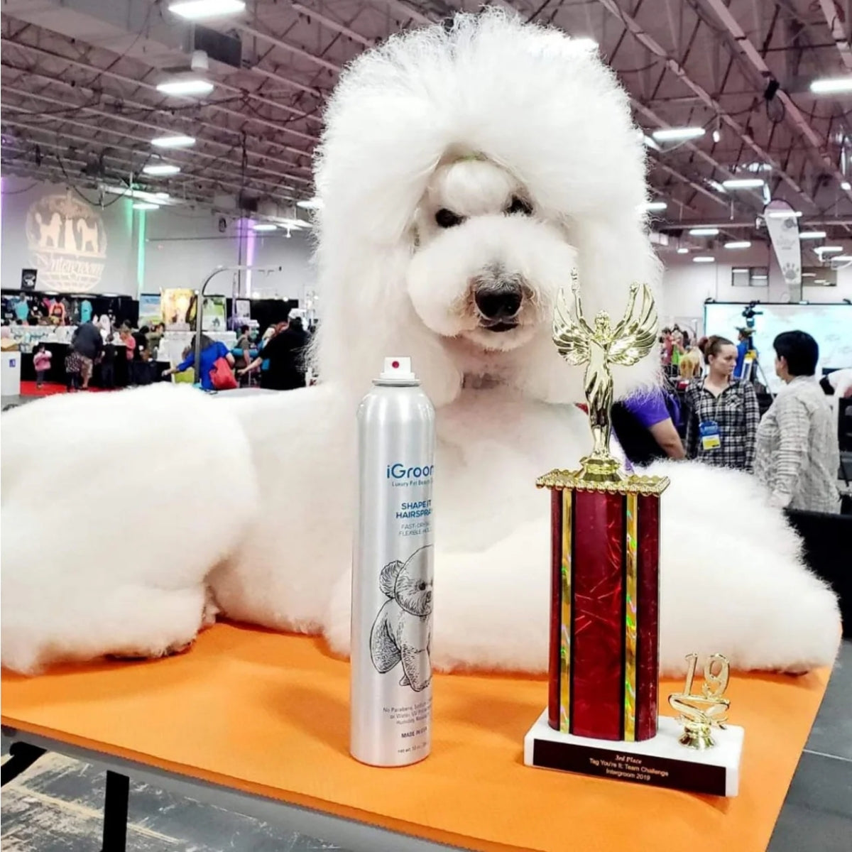 Laca Mascotas Fijación Media Secado Rápido Igroom