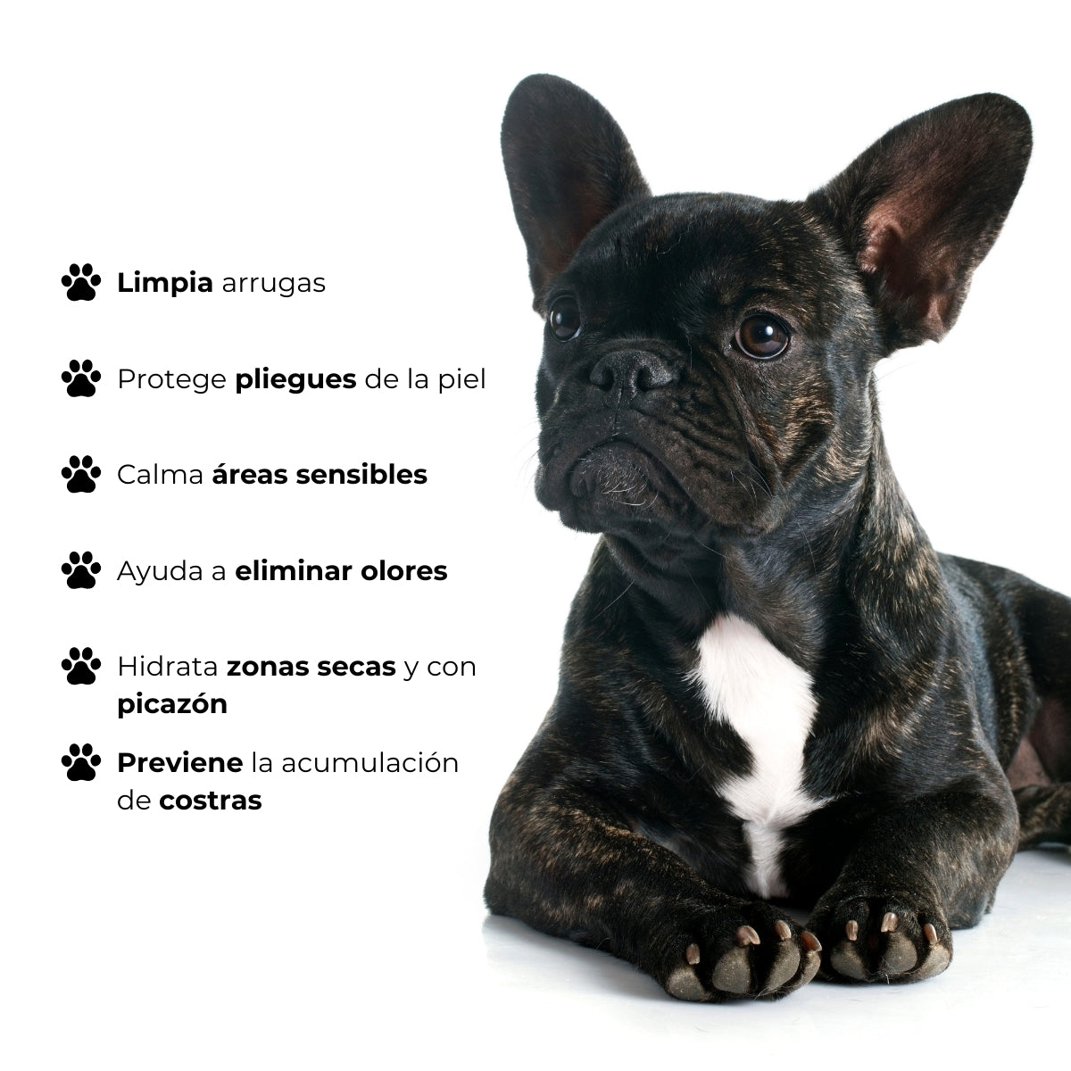 Spray Mascotas Antibacteriano Pliegues y Arrugas Wrinkle Bugalugs