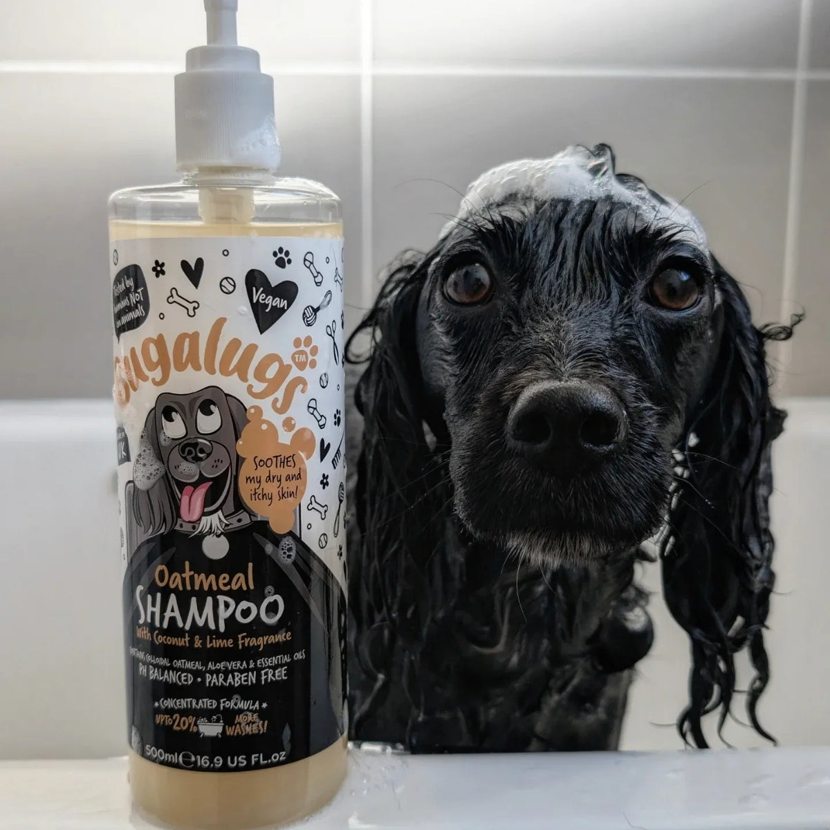 Shampoo Mascotas Calmante Avena Bugalugs