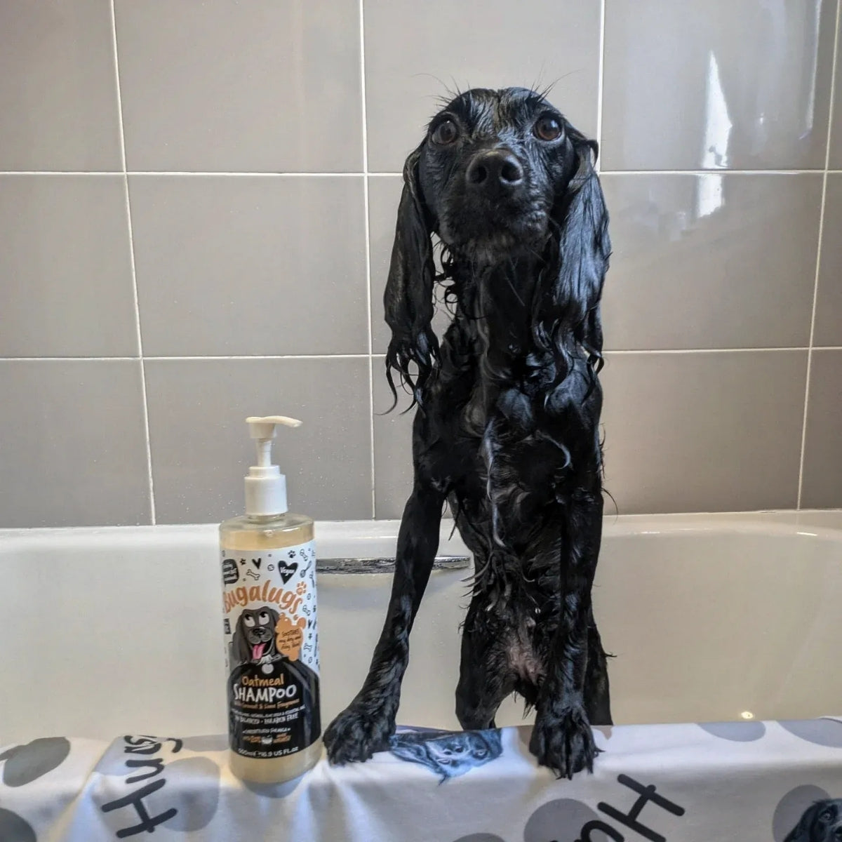 Shampoo Mascotas Calmante Avena Bugalugs