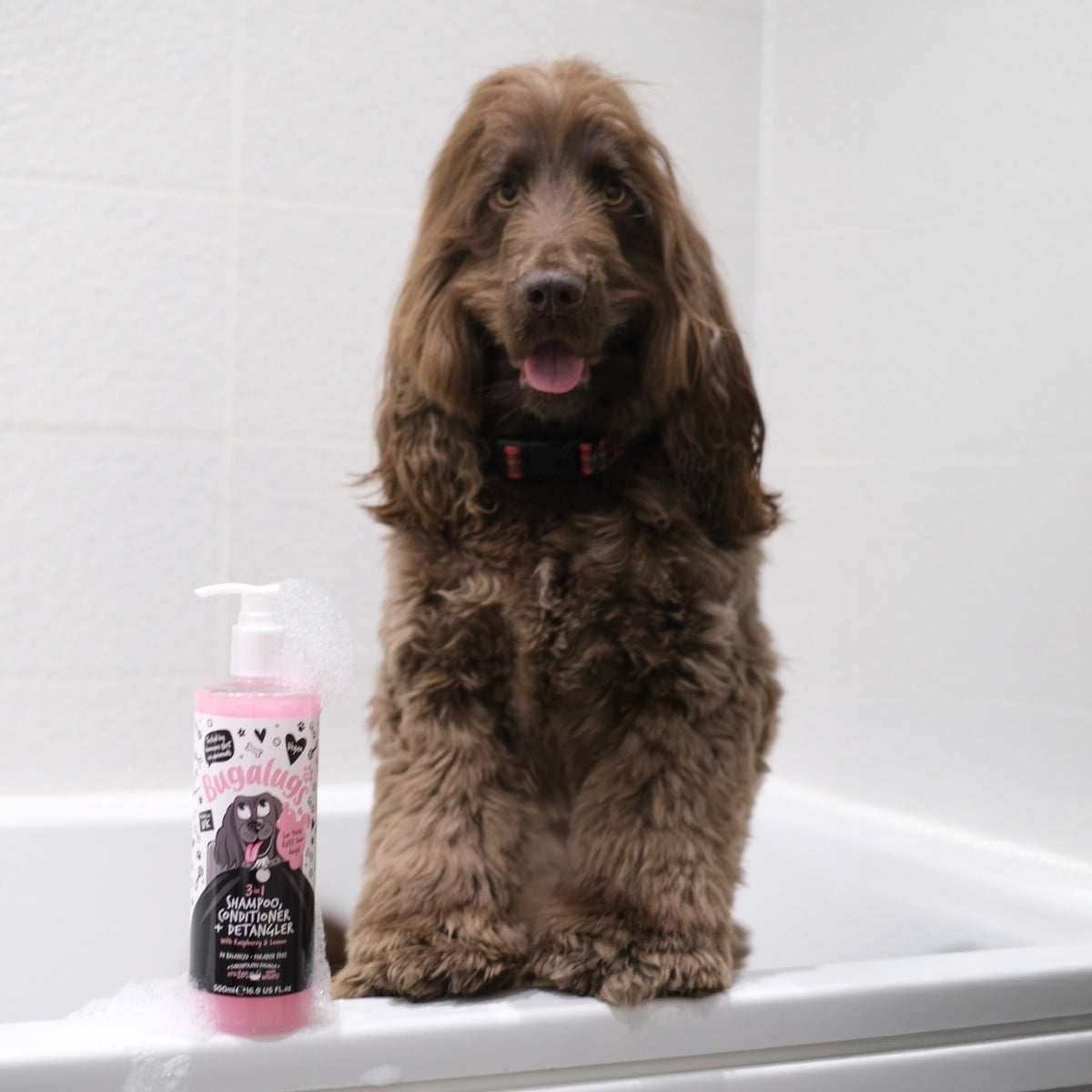 Shampoo Mascotas 3 En 1 Bugalugs