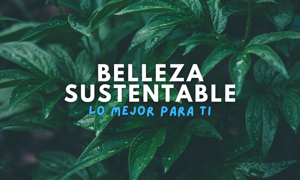 ¿Qué es la belleza sustentable y por qué es lo mejor para ti?