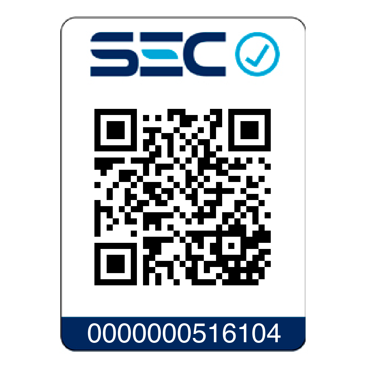 Secador Xcell Negro Gamma Piu