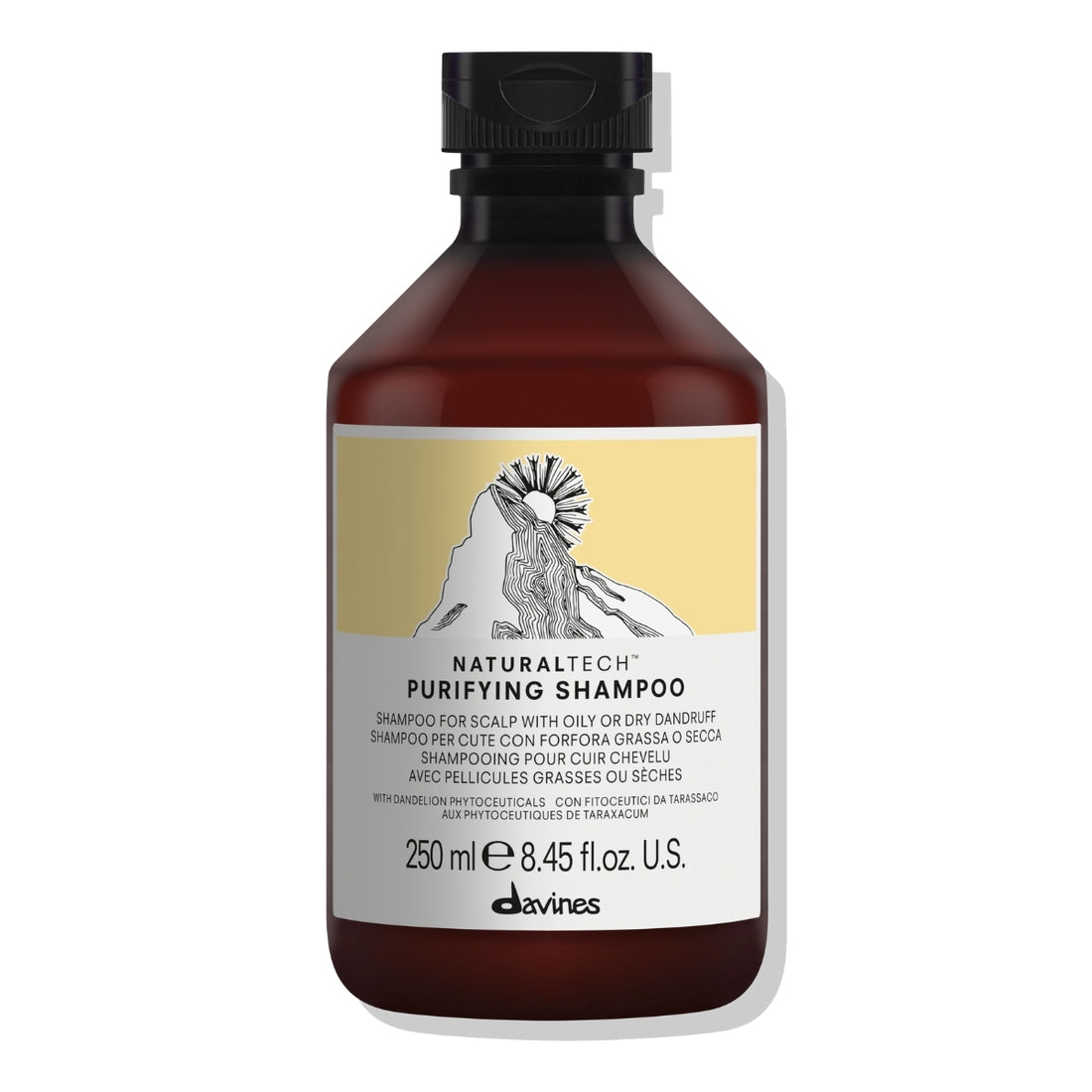 Shampoo Anticaspa Purifying Naturaltech Davines