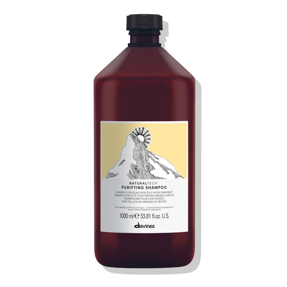 Shampoo Anticaspa Purifying Naturaltech Davines