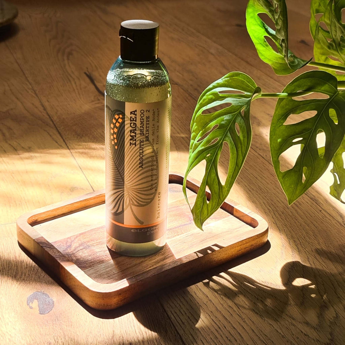 Shampoo Absolute Cabello Tinturado 250ml Imagea