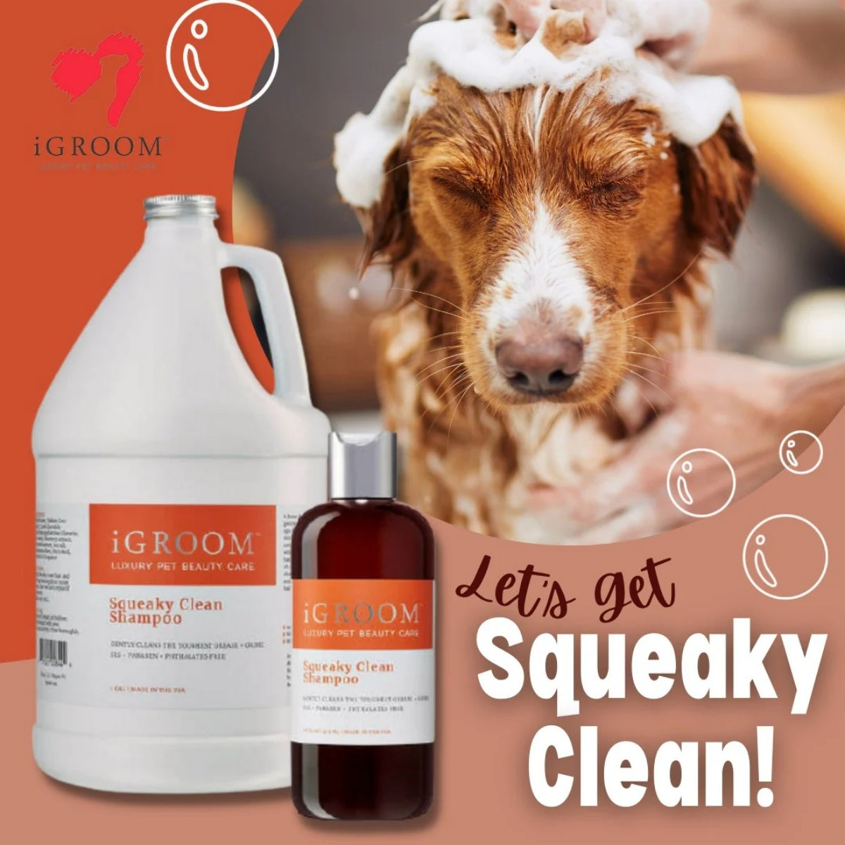 Shampoo Pelaje Graso Mascotas Igroom