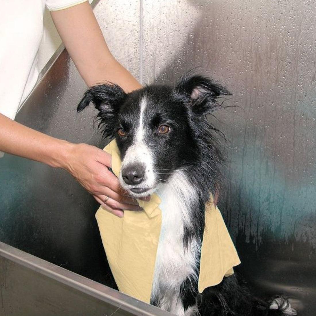 Toalla Mascotas Transgroom