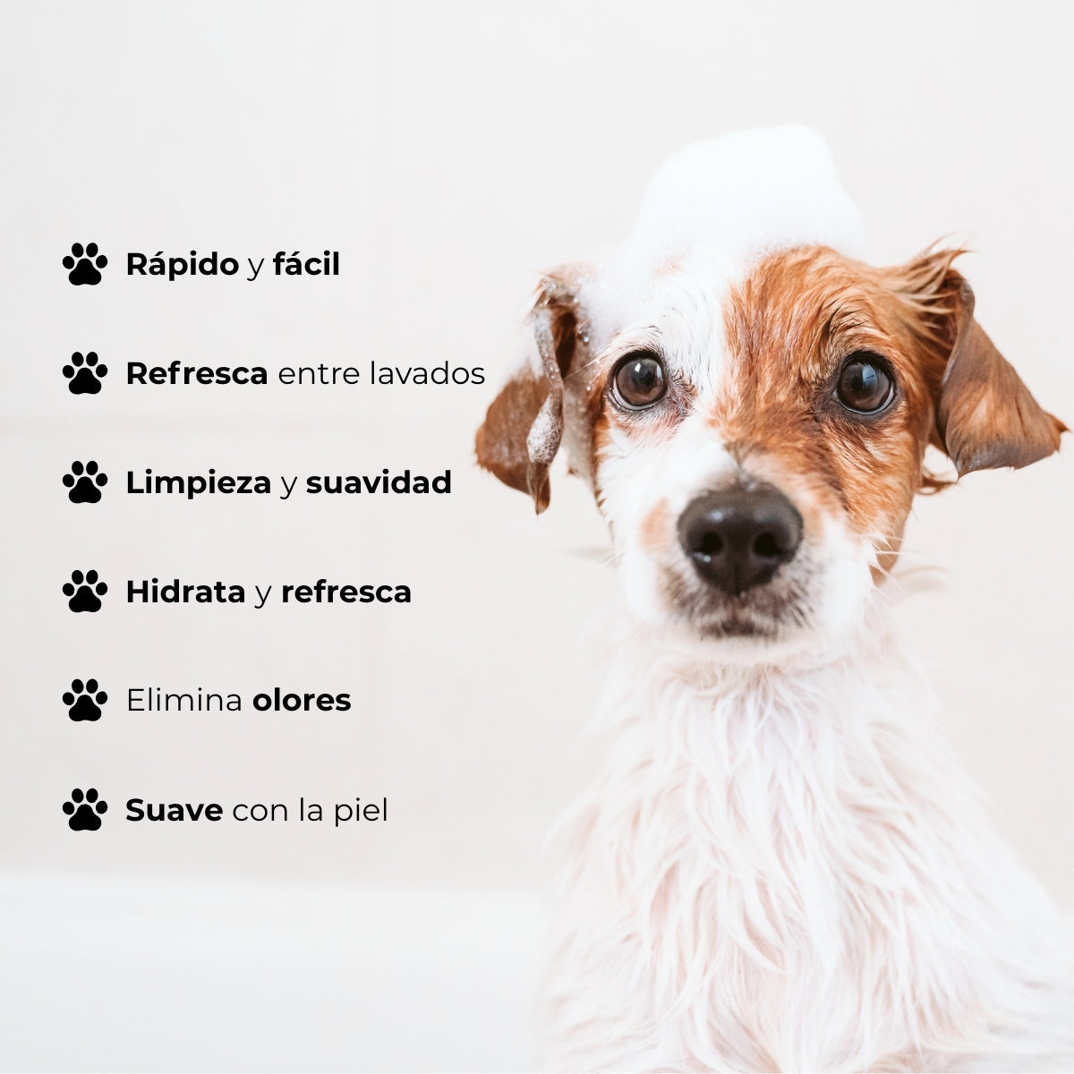 Shampoo Seco Mascotas Baby Fresh Bugalugs