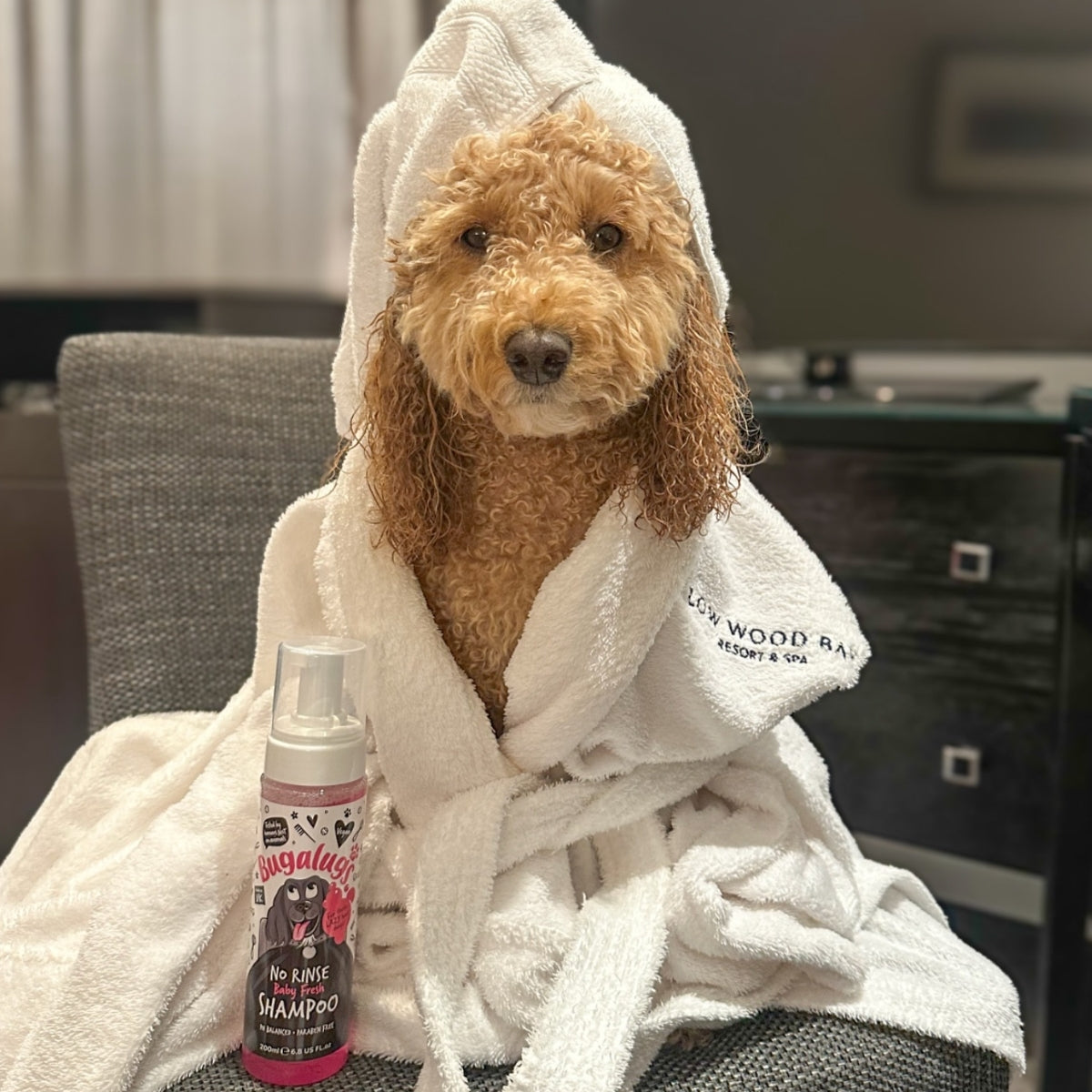 Shampoo Seco Mascotas Baby Fresh Bugalugs
