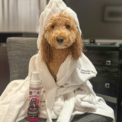 Shampoo Seco Mascotas Baby Fresh Bugalugs