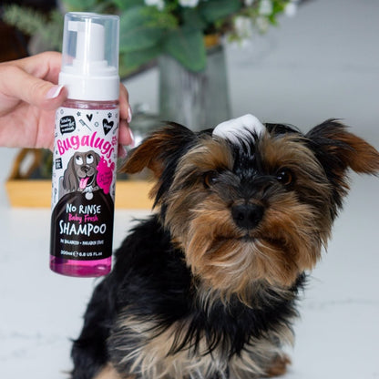 Shampoo Seco Mascotas Baby Fresh Bugalugs