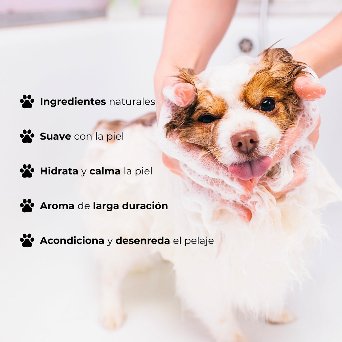 Acondicionador Mascotas Suave Baby Fresh Bugalugs