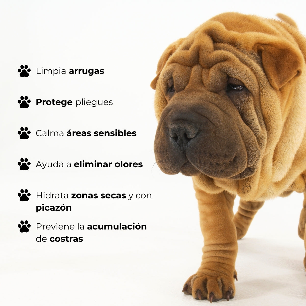Shampoo Mascotas Antibacteriano Pliegues y Arrugas Wrinkle Bugalugs