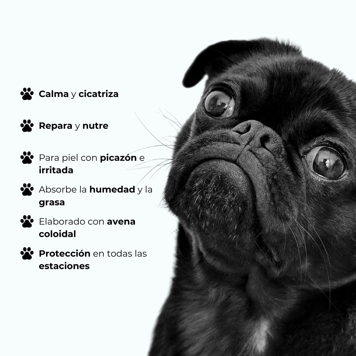 Crema Mascotas Protectora Pliegues y Arrugas Wrinkle Bugalugs