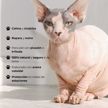 Bálsamo Mascotas Antibacteriano Pliegues y Arrugas Wrinkle Bugalugs
