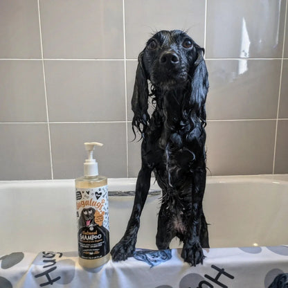 Shampoo Mascotas Calmante Avena Bugalugs