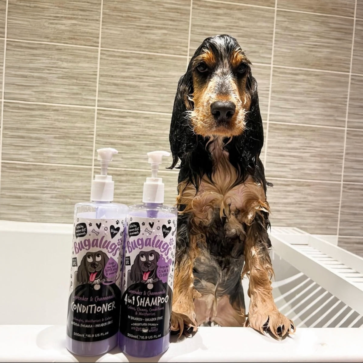 Shampoo Mascotas 4 En 1 Lavanda Manzanilla Bugalugs