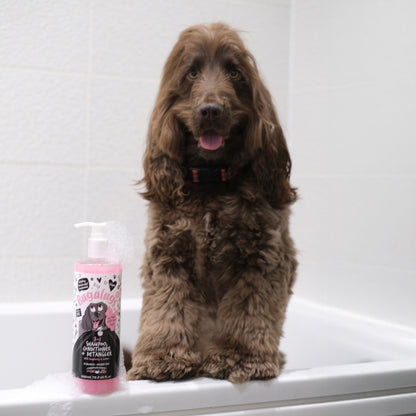 Shampoo Mascotas 3 En 1 Bugalugs