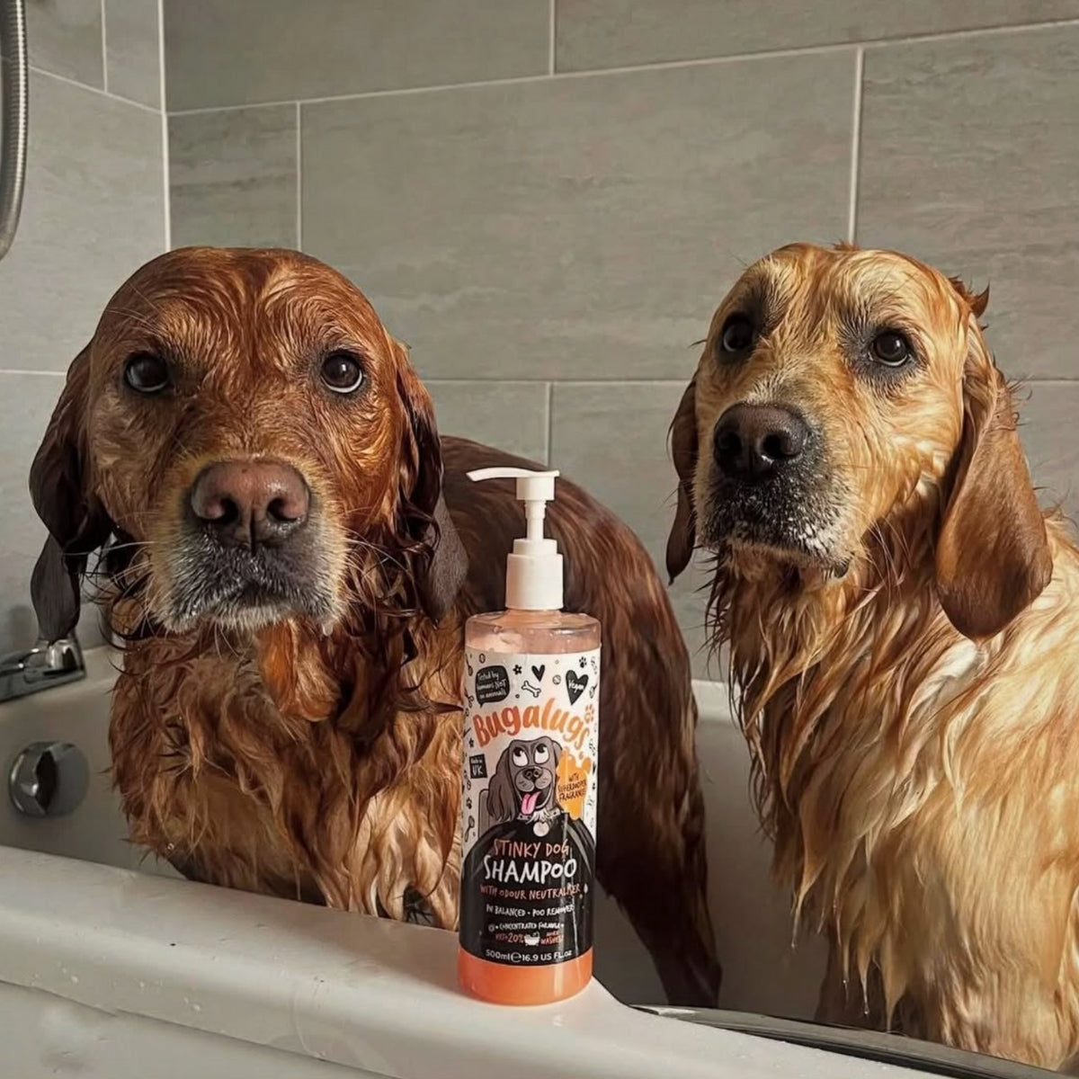Shampoo Mascotas Desodorante Stinky Dog Bugalugs