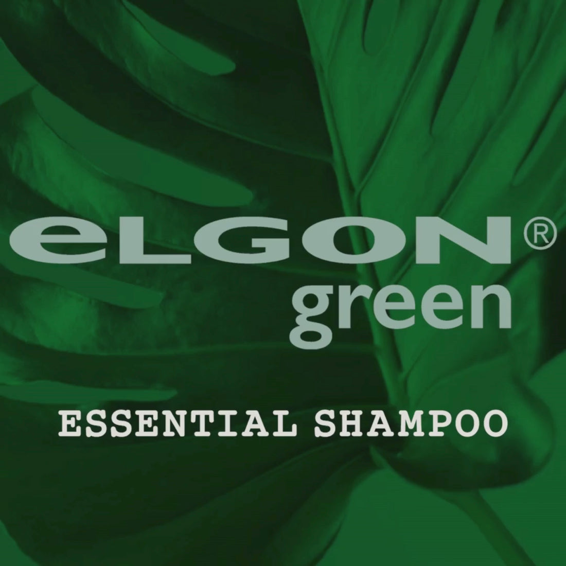 Shampoo Essential Imagea